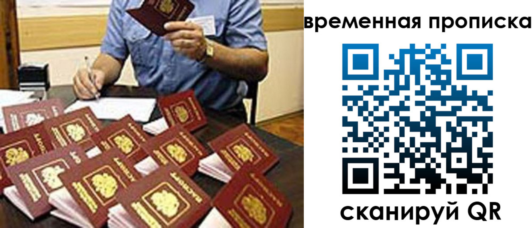 прописка для школы в Ермолино